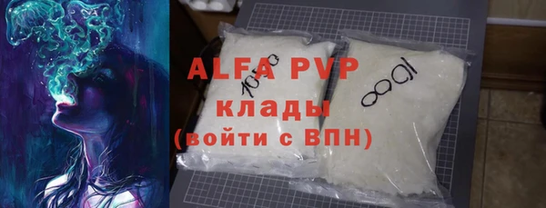 индика Богданович