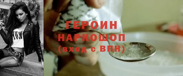 индика Богданович