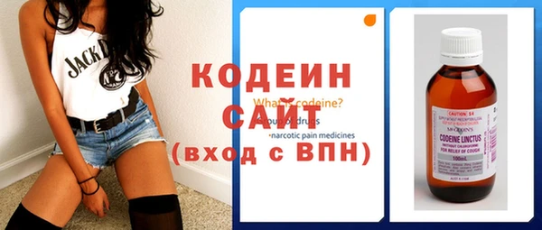 индика Богданович