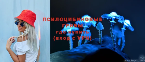 каннабис Богородицк