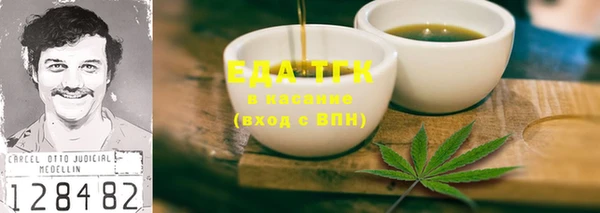 индика Богданович