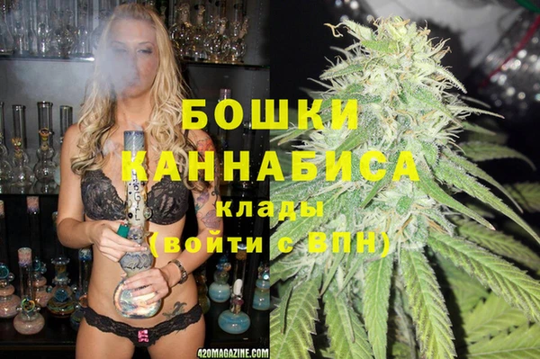 индика Богданович