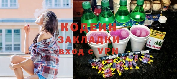 индика Богданович
