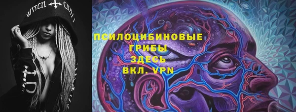 индика Богданович