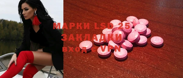 индика Богданович
