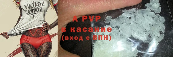 индика Богданович